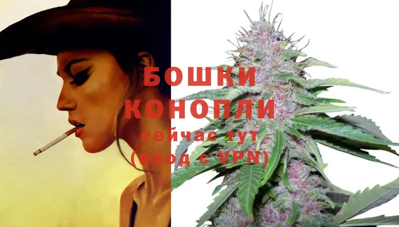 как найти наркотики  Бирюч  Марихуана Ganja 